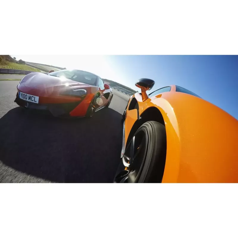 GoPro siurbtuvinis laikiklis AUCMT-302