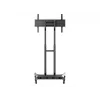 Multibrackets M Public Floorstand Basic 180 stovas su lentyna ir kameros laikikliu