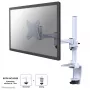 Monitoriaus ranka Neomounts FPMA-D1330WHITE 10–30 colių