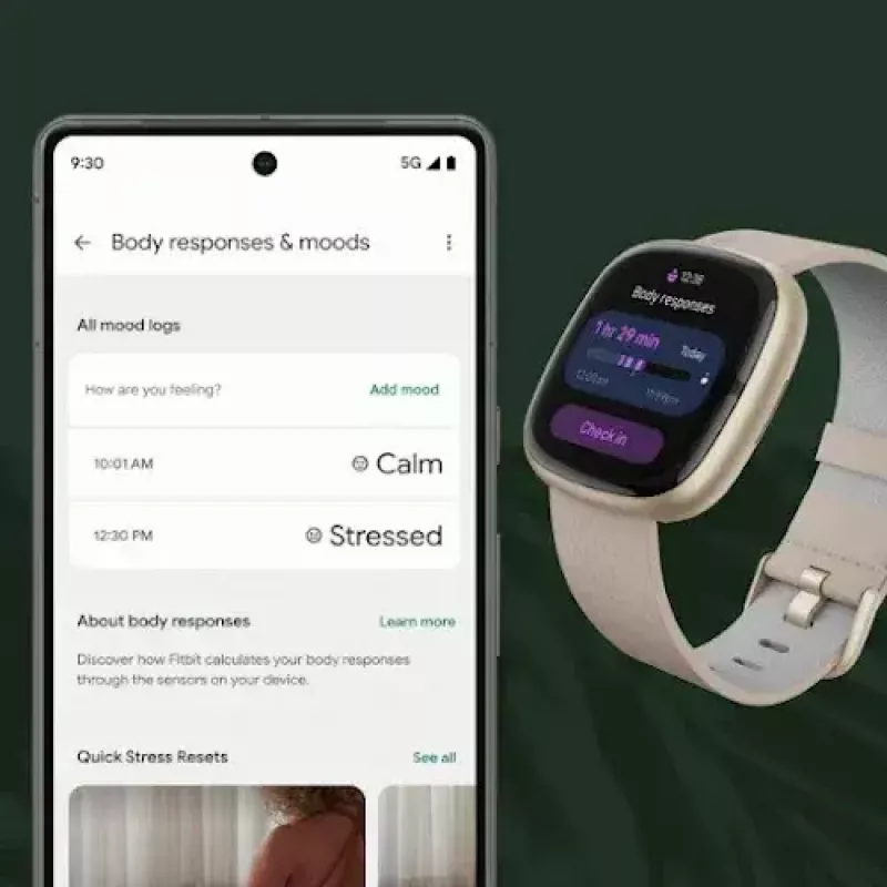 Išmanusis laikrodis Fitbit Sense 2