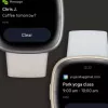 Išmanusis laikrodis Fitbit Sense 2
