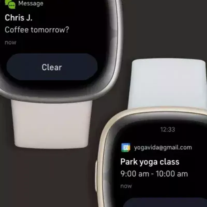 Išmanusis laikrodis Fitbit Sense 2