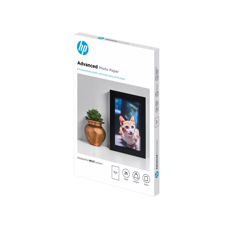 HP Advanced Photo Paper Glossy 250 g/m² 10 x 15 cm (101 x 152 mm) 25 lapų