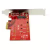 StarTech.com x4 PCI Express 3.0 į M.2 PCIe NVMe SSD adapteris