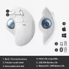 Pelė Logitech ERGO M575 Wireless Trackball RF Bluetooth