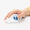 Pelė Logitech ERGO M575 Wireless Trackball RF Bluetooth