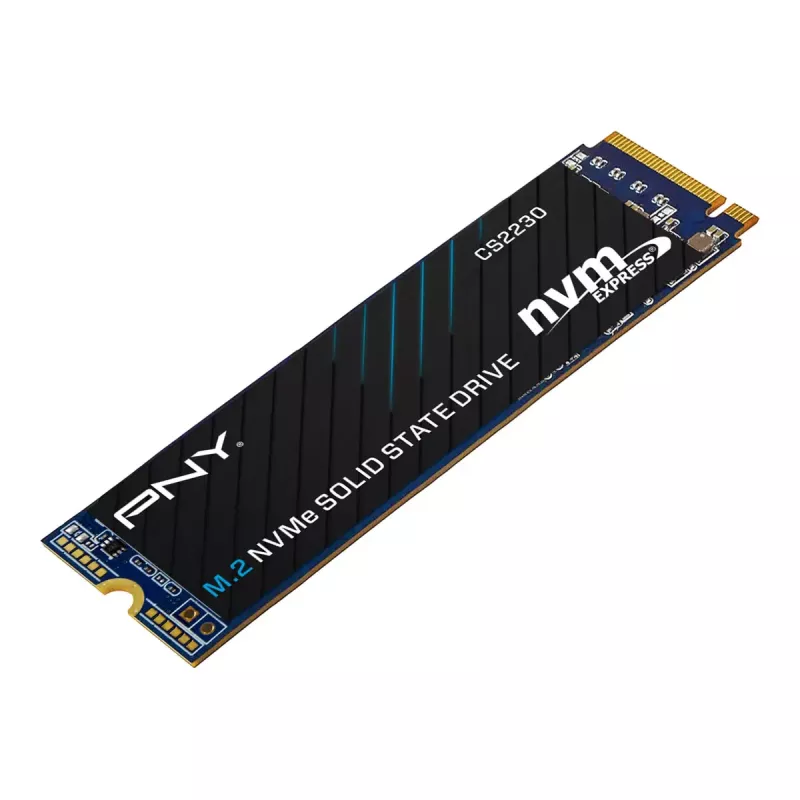 SSD diskas PNY 1 TB M.2 PCI Express 3.0 NVMe CS2230