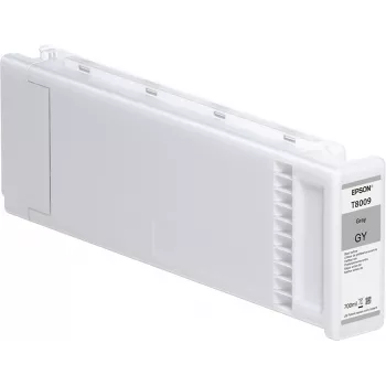 Epson T800900 UltraChrome PRO pilka kasetė 700 ml