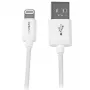 StarTech.com 1 m USB–Lightning laidas – iPhone / iPad / iPod įkrovimo ir sinchronizavimo laidas, MFi sertifikuotas, baltas
