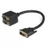 StarTech.com 30 cm DVI-D į 2x DVI-D skirstytuvas kabelis (M/F)