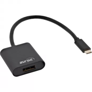 USB-C į DisplayPort adapteris InLine 64102B 4K/60Hz