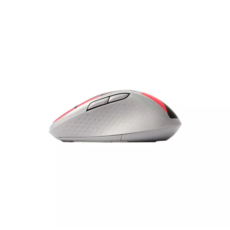 Pelė Rapoo M500 tyli Bluetooth + USB Type-A
