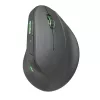 Pelė SPEEDLINK SL-630026-BK RF belaidė optinė