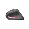 Pelė SPEEDLINK SL-630026-BK RF belaidė optinė