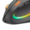 Pelė SPEEDLINK SL-630026-BK RF belaidė optinė