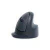R-Go Tools vertikali pelė R-Go HE Basic, ergonomiška, vidutinė (rankos dydis ≥ 185 mm), dešinei rankai, Bluetooth, pilka