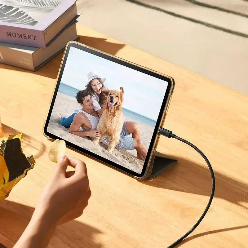 USB-C laidas Baseus TngstnGld ŞrjKbl Typ-C-C 240W 2m
