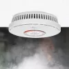 Kombinuotas dūmų ir anglies monoksido detektorius Nedis DTCTCS10WT Baltas