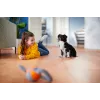 Philips PowerPro Expert FC9744/09 dulkių siurblys 2 L Cilindrinis sausas 900 W be maišelio