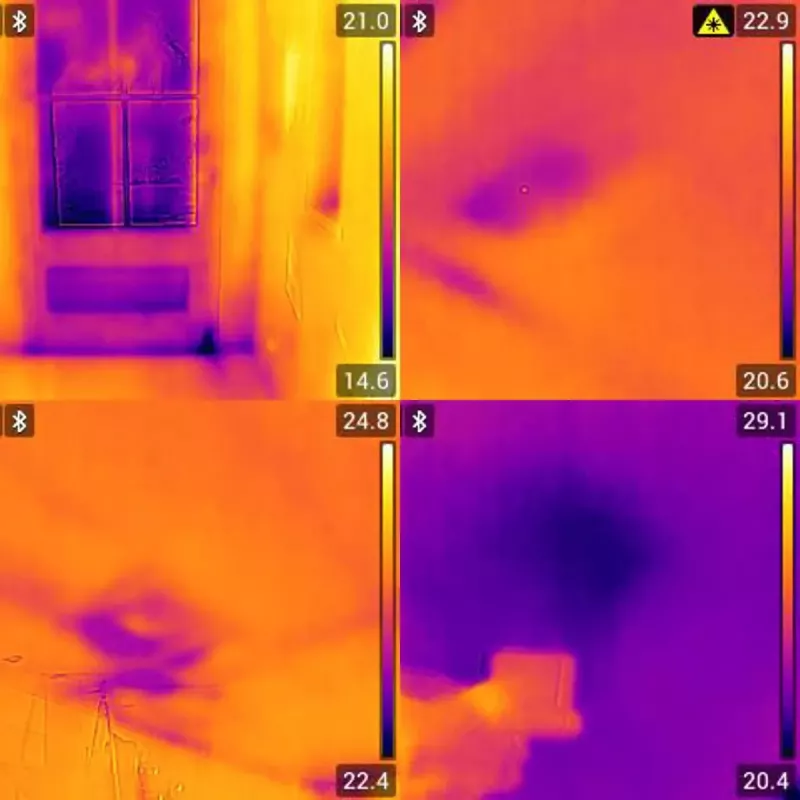 Drėgmės matuoklis ir termovizorius FLIR MR160