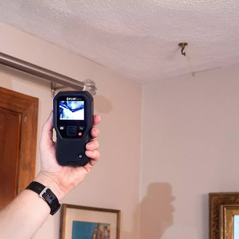 Drėgmės matuoklis ir termovizorius FLIR MR160