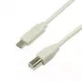 LogiLink CU0160 USB 2.0 laidas iš USB-C į USB-B, 1 m, pilkas