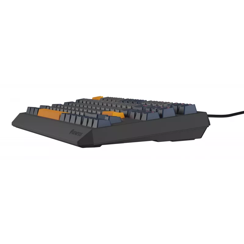 GENESIS Thor 230 TKL klaviatūra žaidimams USB QWERTY anglų mėlyna