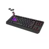Mechaninė žaidimų klaviatūra GENESIS Thor 230 TKL be skaičių bloko – USB, RF belaidis, Bluetooth, 87 klavišų QWERTY, pilka