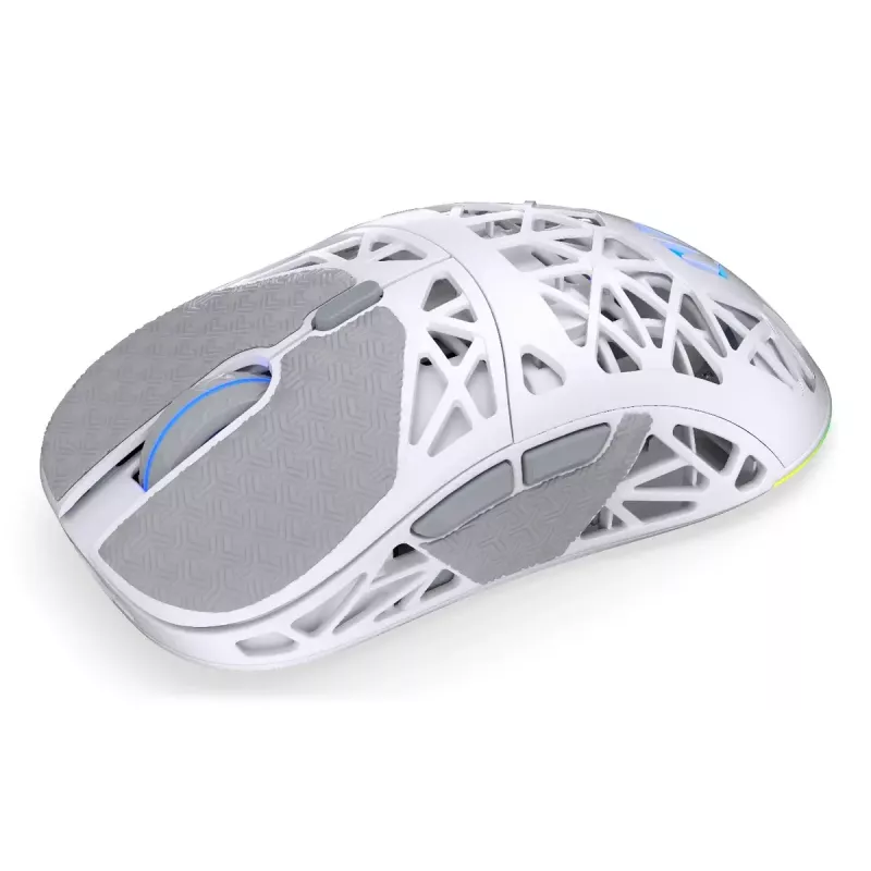 Belaidė žaidimų pelė ENDORFY LIV Onyx White – Bluetooth/2,4 GHz, 12000 DPI, ambidekstrinė, aRGB apšvietimas, 6 mygtukai, USB-A/USB-C laidas