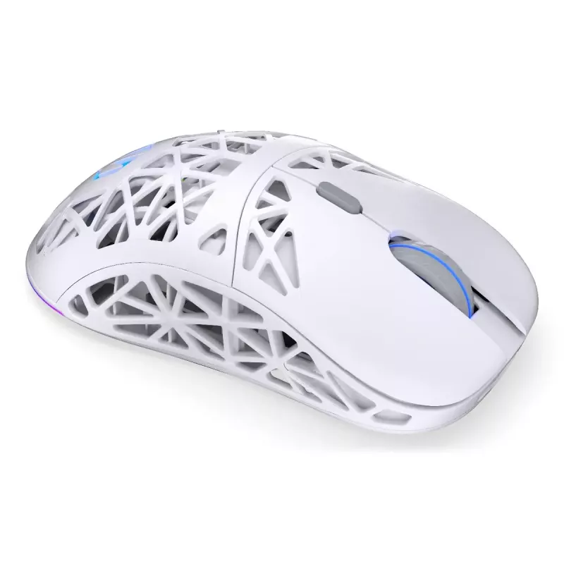 Belaidė žaidimų pelė ENDORFY LIV Onyx White – Bluetooth/2,4 GHz, 12000 DPI, ambidekstrinė, aRGB apšvietimas, 6 mygtukai, USB-A/USB-C laidas