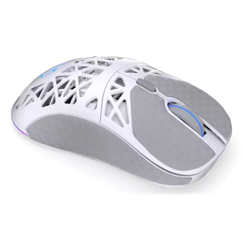 Belaidė žaidimų pelė ENDORFY LIV Onyx White – Bluetooth/2,4 GHz, 12000 DPI, ambidekstrinė, aRGB apšvietimas, 6 mygtukai, USB-A/USB-C laidas
