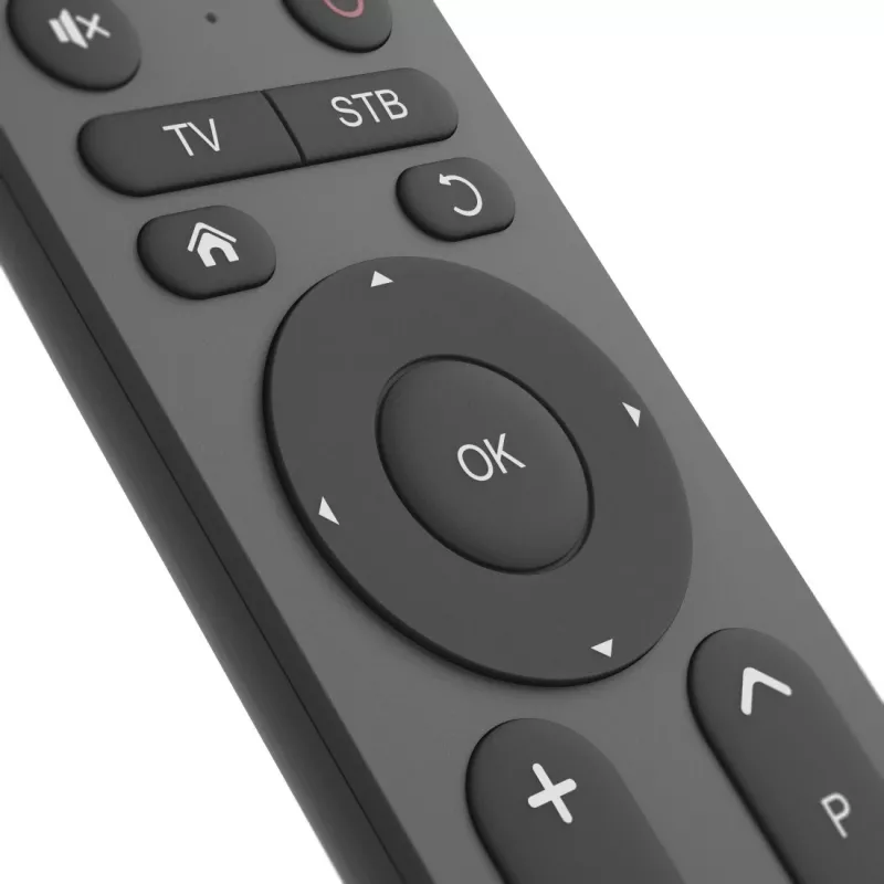 Universalus nuotolinio valdymo pultas Hama 00221056 IR belaidis TV 31 mygtukas 10 m atstumas