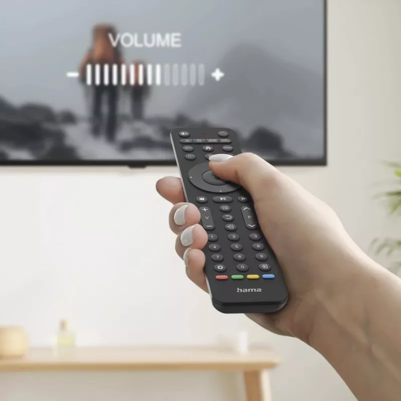 Hama 00221055 universalus nuotolinio valdymo pultas IR belaidis TV 43 mygtukai