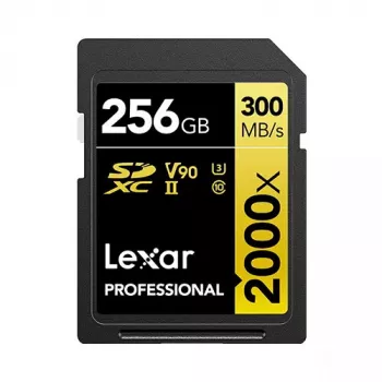Lexar 256GB SDXC Class 10 LSD2000256G-BNNNG atminties kortelė