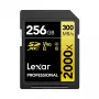 Lexar 256GB SDXC Class 10 LSD2000256G-BNNNG atminties kortelė