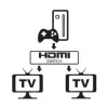 Techly 108606 HDMI vaizdo perjungiklis