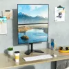 Laikiklis dviems monitoriams Techly ICA-LCD 2520V 68,6 cm (27 col.) stalas Juoda