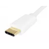 Equip USB Type C į garso adapteris