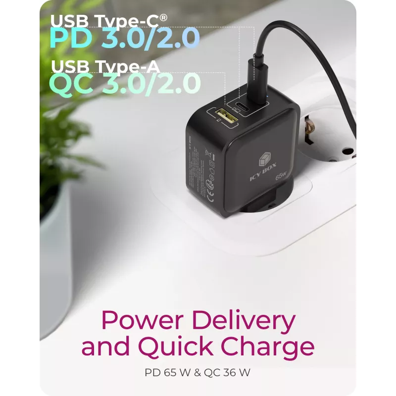 Kroviklis vidaus ICY BOX IB-PS1030-PD Universal Black Fast Charging