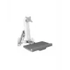 ICY BOX IB-MS600-W 61 cm (24 colio) sieninis laikiklis, pilka, sidabrinė, balta