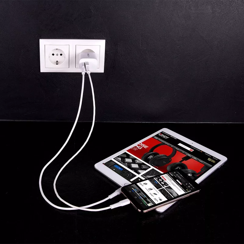 Vidinis įkroviklis Lindy 73413 – universalus 100–240 V, išėjimas 12 V 3 A, USB-A + USB-C, baltas