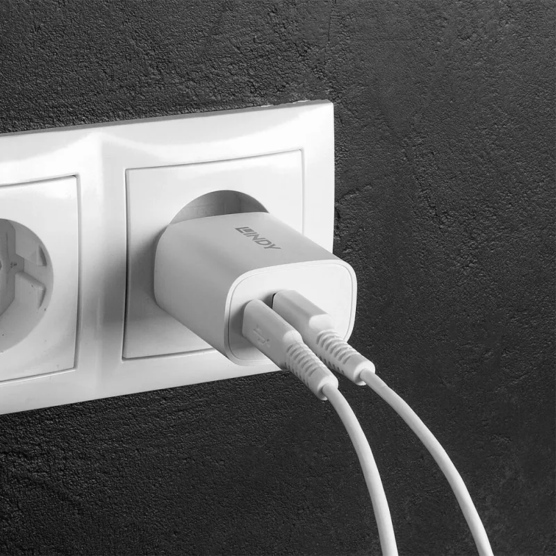 Vidinis įkroviklis Lindy 73413 – universalus 100–240 V, išėjimas 12 V 3 A, USB-A + USB-C, baltas