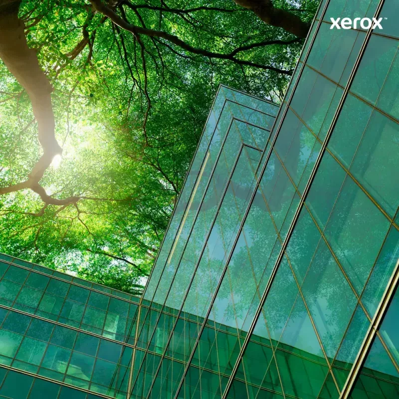 Xerox Original ® VersaLink® C8000/C8000W spalvoto spausdintuvo žalsvai mėlyno didelės talpos tonerio kasetė (16500 puslapių) - 106R04050