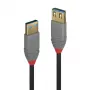 Lindy 1m USB 3.2 tipo A ilginimo laidas, 5Gbps, Anthra Line