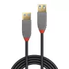 Lindy 1m USB 3.2 tipo A ilginimo laidas, 5Gbps, Anthra Line