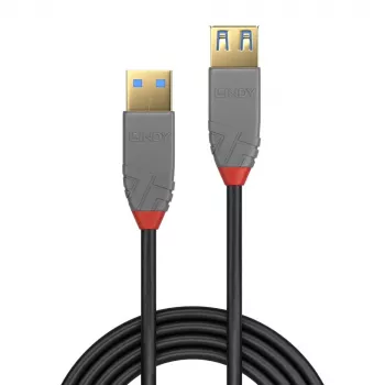 Lindy 1m USB 3.2 tipo A ilginimo laidas, 5Gbps, Anthra Line