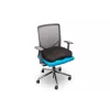 Sėdėjimo pagalvėlė Kensington Ergo Memory Foam K55805WW