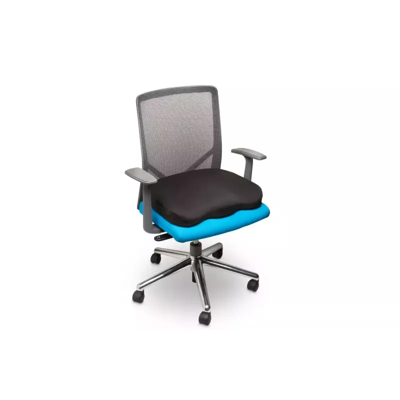 Sėdėjimo pagalvėlė Kensington Ergo Memory Foam K55805WW