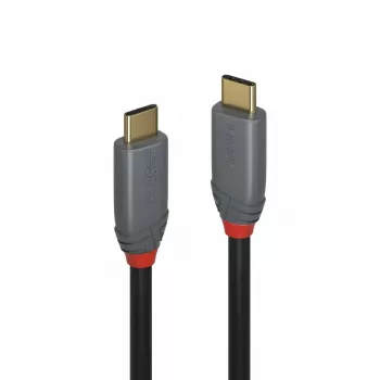 Lindy 2m USB 3.2 Type C laidas, 5A PD, Anthra Line