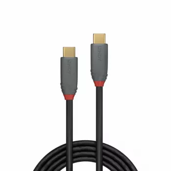 Lindy 2m USB 3.2 Type C laidas, 5A PD, Anthra Line